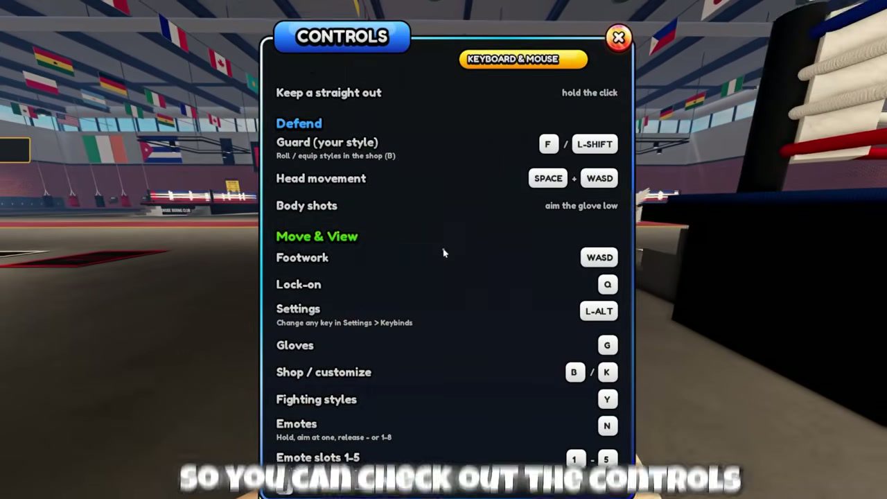 The CONTROLS overlay as it appears in game, with movement, dodge, block and menu sections